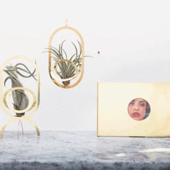 Fundamental.Berlin AIR TROPHY PLANT HOLDER