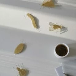 Fundamental.Berlin FLATMATE WOODLOUSE