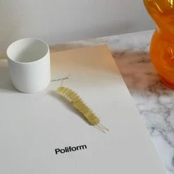 Fundamental.Berlin FLATMATE CENTIPEDE