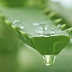 Puritx Hand Sanitiser Geranium Lime Peppermint 250 Ml