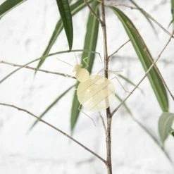 Fundamental.Berlin FLATMATE BEDBUG