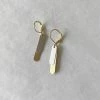 Dowse Brass and Steel Kapsule Earrings