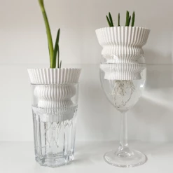 Dowse Hydroponic Plant Grower