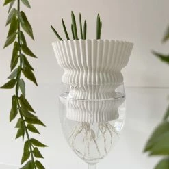 Dowse Hydroponic Plant Grower