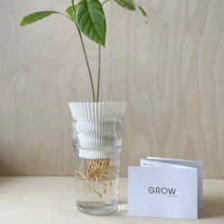 Dowse Hydroponic Plant Grower