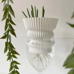 Dowse Hydroponic Plant Grower